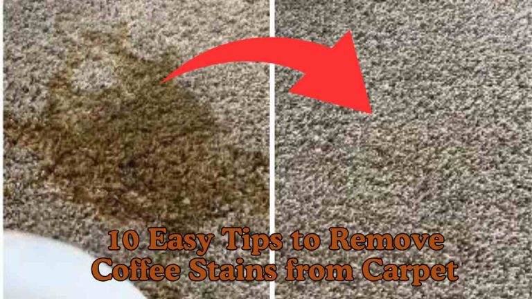 10 Easy Tips to Remove Coffee Stains from Carpet