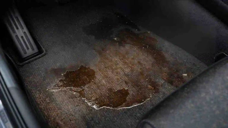 Best Car Carpet Stain Removers