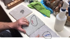 How to Get Paint Out of Carpet Quickly